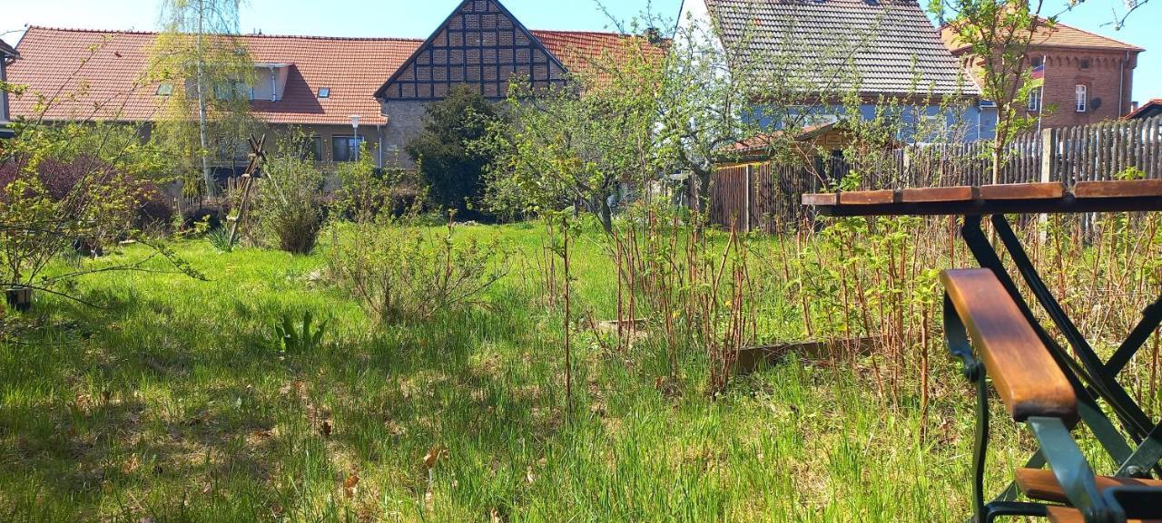 Apartment Mit Herz Im Harz Meisdorf Eksteriør billede
